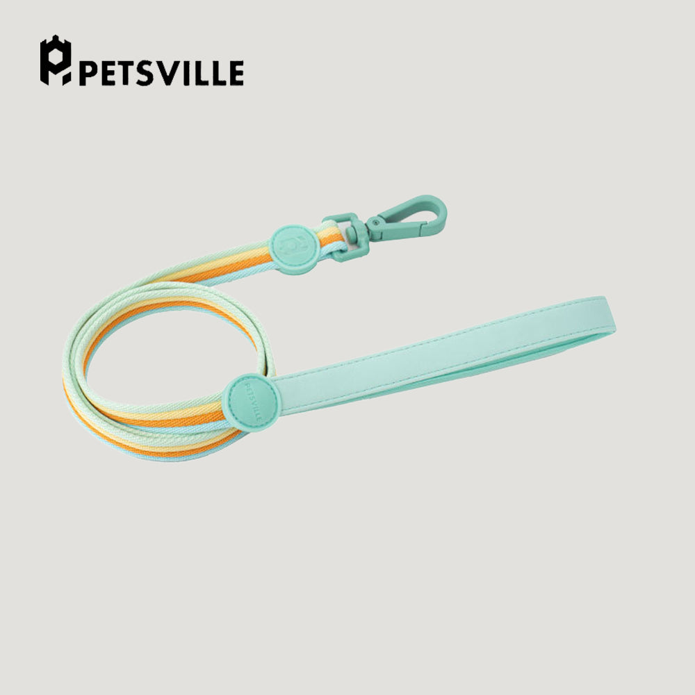 PETSVILLE Striped Dog Leash