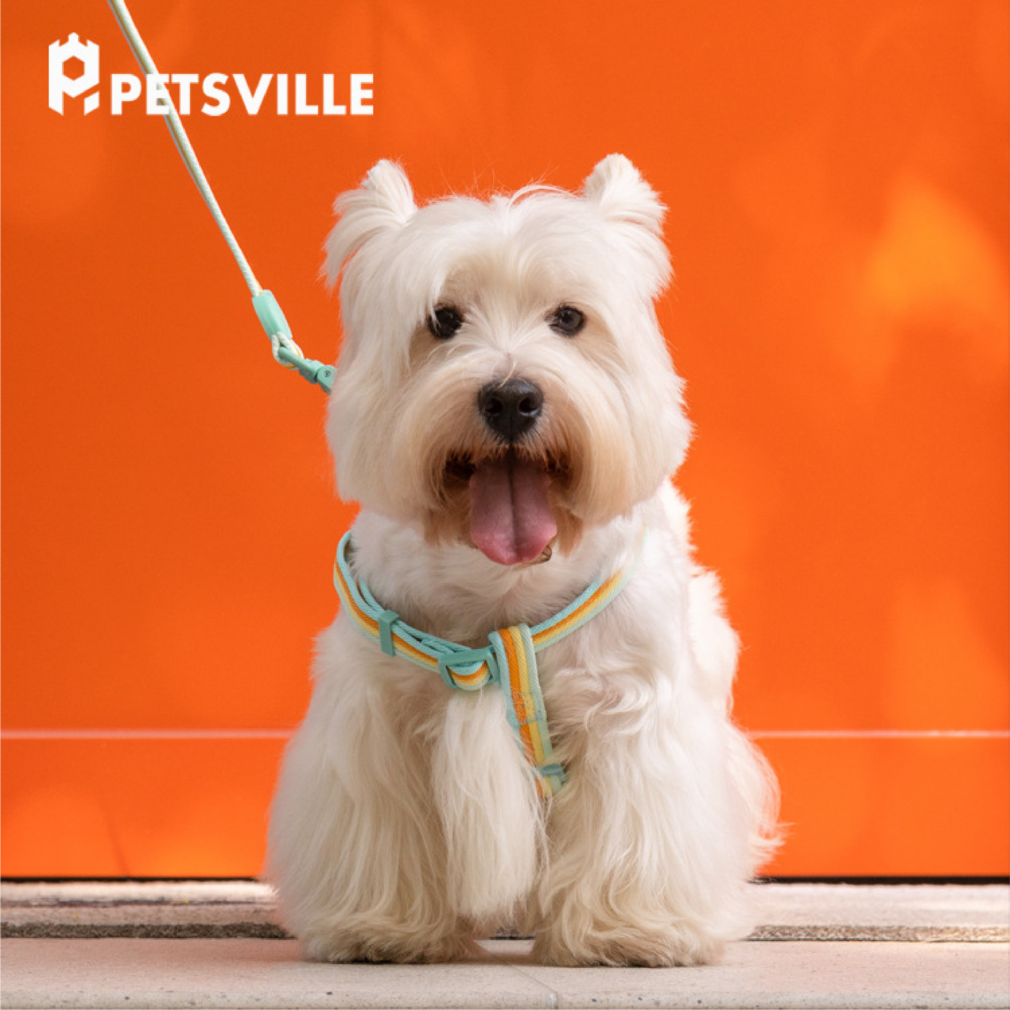 PETSVILLE Striped Dog Harness