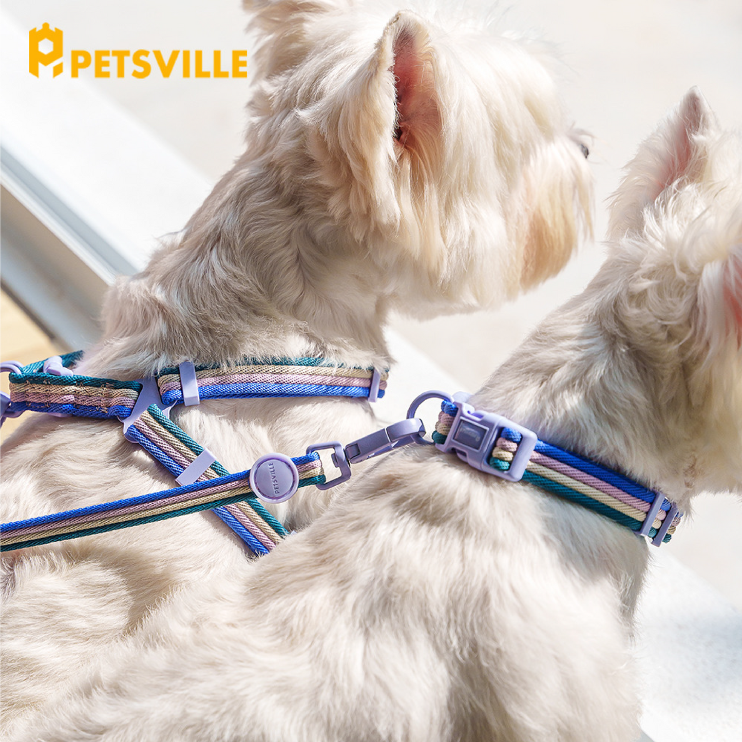 PETSVILLE Striped Dog Collar