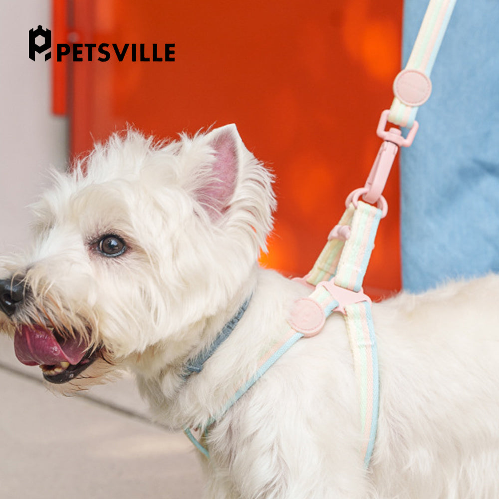 PETSVILLE Striped Dog Leash