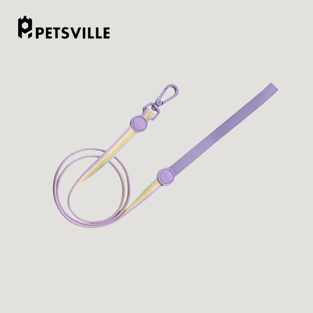 PETSVILLE Striped Dog Leash