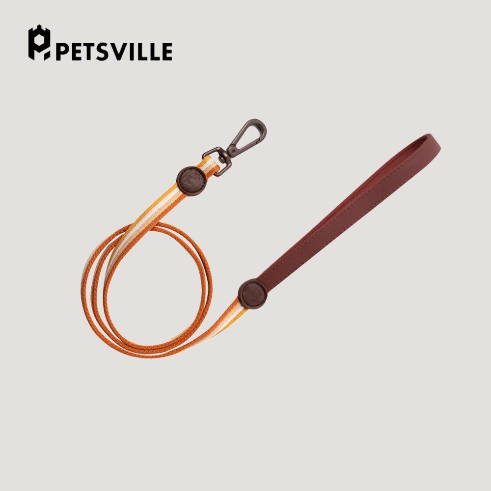 PETSVILLE Striped Dog Leash